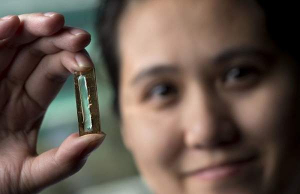 Pin lithium trọn đời được nữ nghiên cứu sinh gốc Việt phát minh