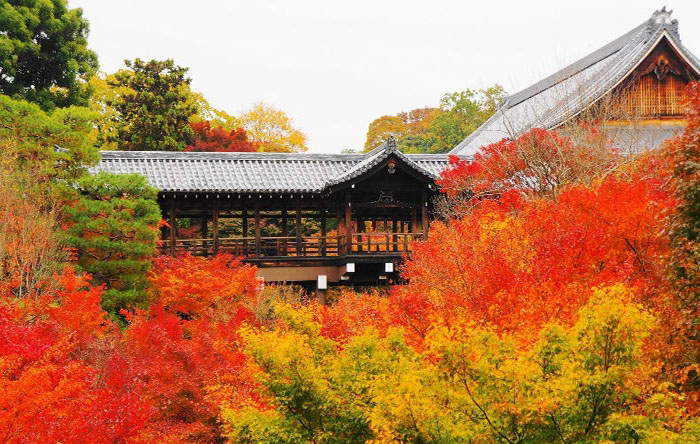 Đền Tofukuji ở Kyoto
