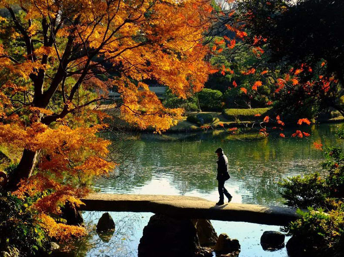 Vườn Rikugien ở Tokyo 