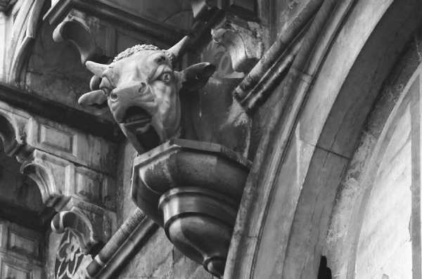Tượng Gargoyle con bò đực của Santa Maria del Fiore, Florence, Ý